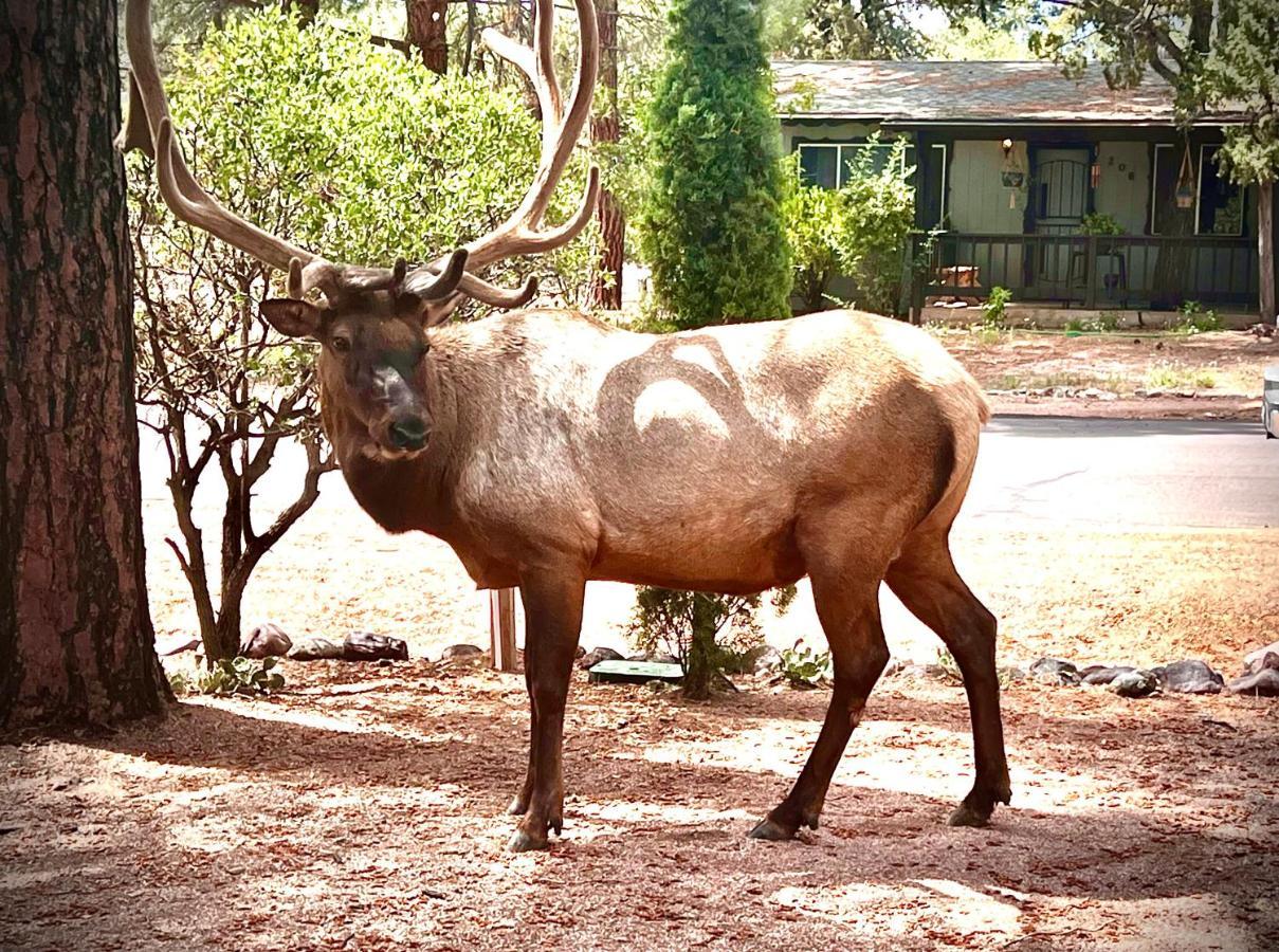 Hidden Gem Retreat In The Heart Of Payson 빌라 외부 사진