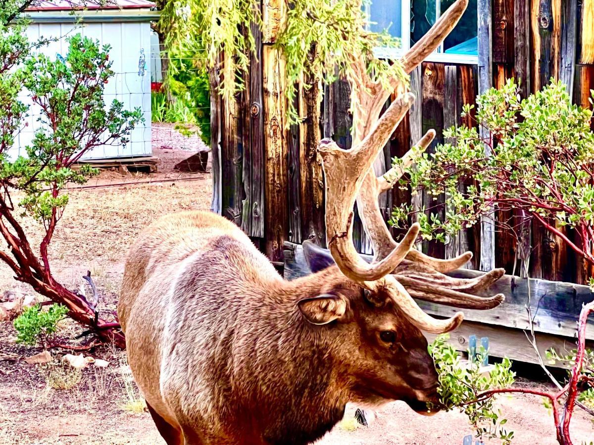 Hidden Gem Retreat In The Heart Of Payson 빌라 외부 사진